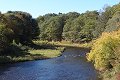  Kingston Christmas Bird Count Data Tables