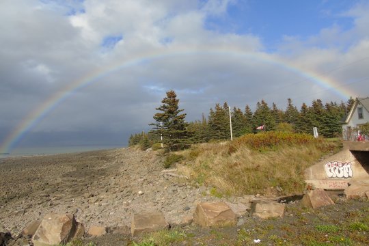 Cottage Cove looking northeast from the wharf - Larry Neily