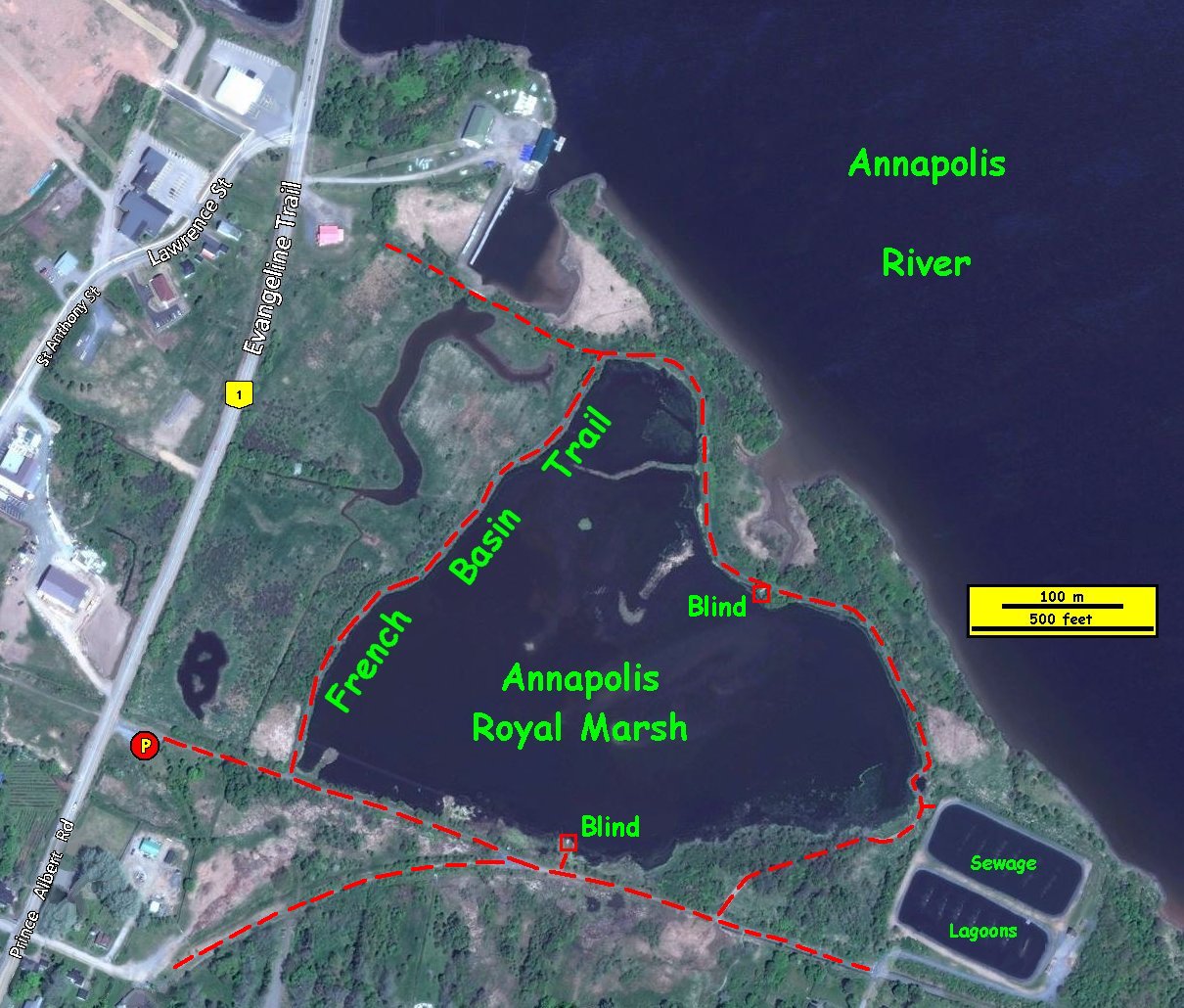 Map of French Basin Trail at Annapolis Royal Marsh