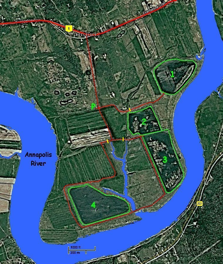 Belleisle Marsh Map