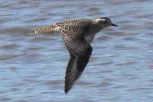 Conneaut, OH - Oct. 7, 2006