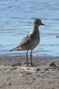 Conneaut, OH - Oct. 7, 2006