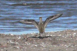 Conneaut, OH - Oct. 7, 2006