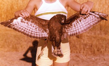 Rosefield, SK - Aug. 17, 1977 - dark phase