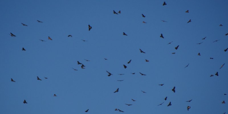 Brier Island, NS - Sep. 19, 2013 - a small portion of a large kettle