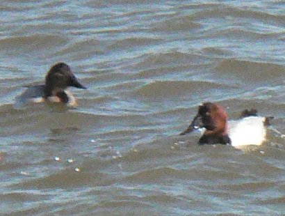 Patuxent River (Hwy 231), MD - Feb. 15, 2007
