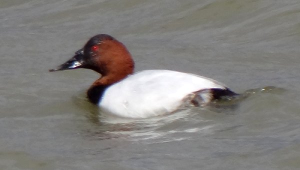 Benson, AZ - Dec. 19, 2011