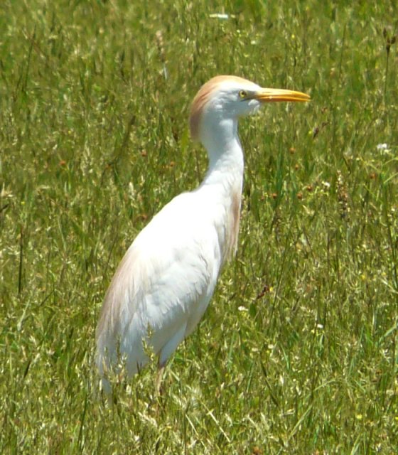 c. Ozark, AR - May 20, 2010