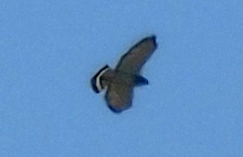 S of Wickenburg, AZ - Apr. 19, 2016 - in flight