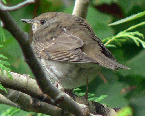 Gatineau, QC - Sep. 30, 2007