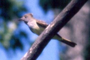Old Carp Road, Kanata, ON - May 19, 1990