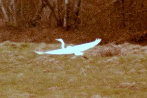 Wilmot, NS - May 11, 1982