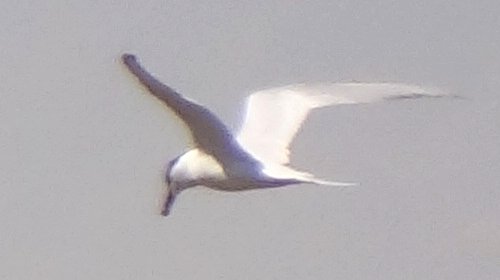 West of Calipatria, CA - Apr. 22, 2013