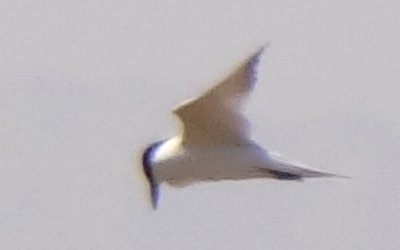 West of Calipatria, CA - Apr. 22, 2013