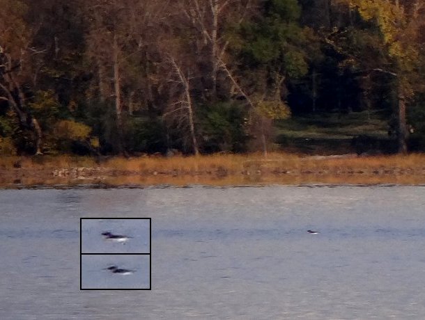 Desch&ecirc;nes Rapids, Ottawa, ON/Aylmer, QC - Oct. 23, 2011