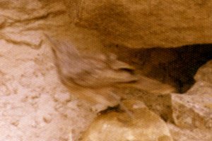 Writing-on-Stone Provincial Park, AB - Aug. 24, 1977