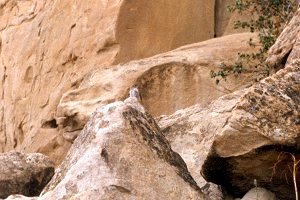 Writing-on-Stone Provincial Park, AB - Aug. 24, 1977