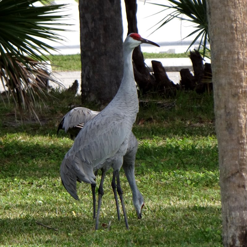 Virginia Key, FL - Jan. 11, 2013