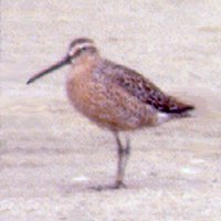 Fort Myers Beach, FL - May 8, 1985