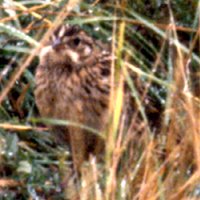 Ile Varennes, QC - Sep. 17, 1989