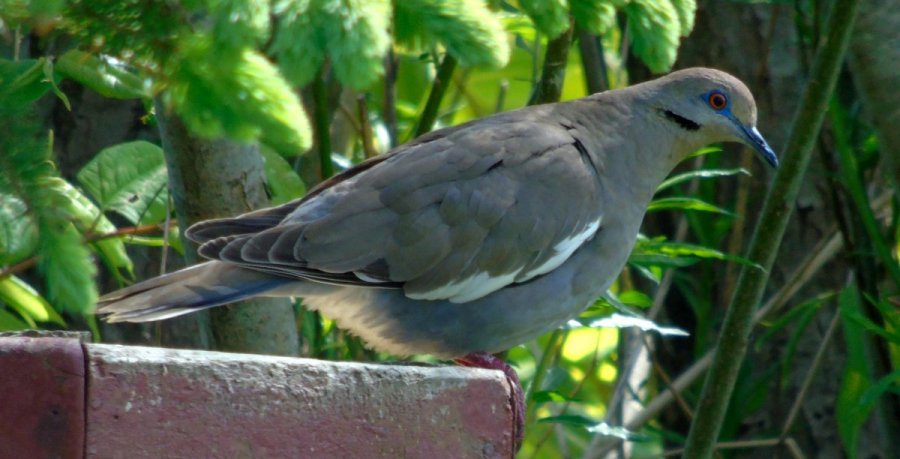 Lower Clark's Harbour, NS - Jun. 15, 2015