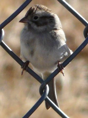 Benson, AZ - Dec. 19, 2011