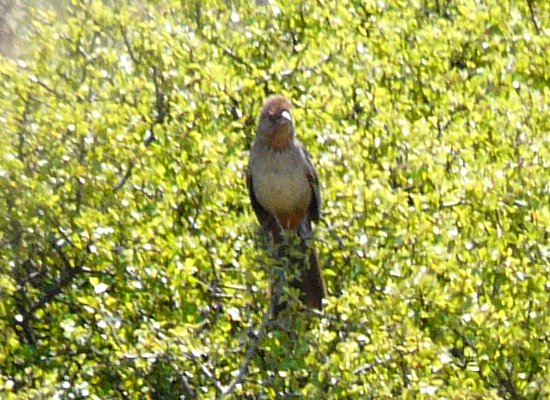 Otay Lakes, CA - Apr. 23, 2013