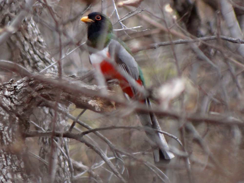 Florida Canyon, AZ - Feb. 18, 2016
