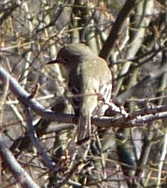 Dudleyville, AZ - Jan. 2, 2011