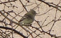 Dudleyville, AZ - Jan. 2, 2011