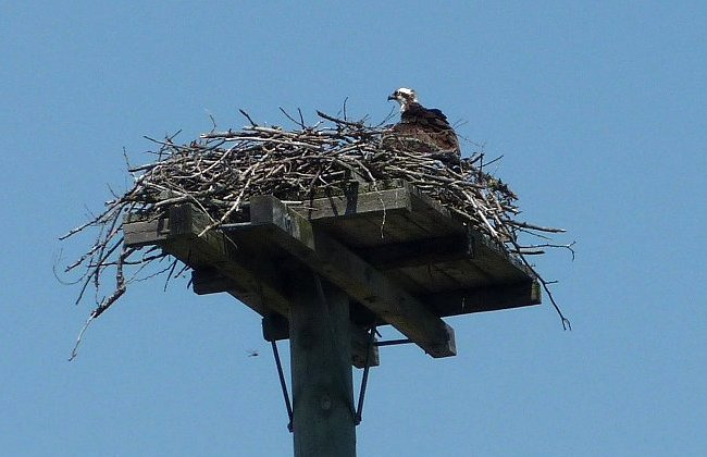 Dunrobin, ON - Jun. 13, 2010