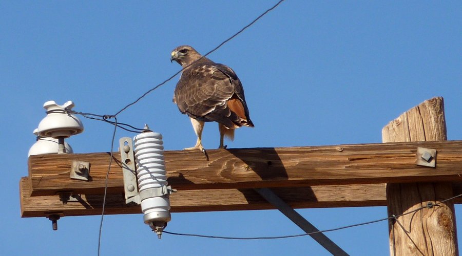 S of Eloy, AZ - Dec. 28, 2010