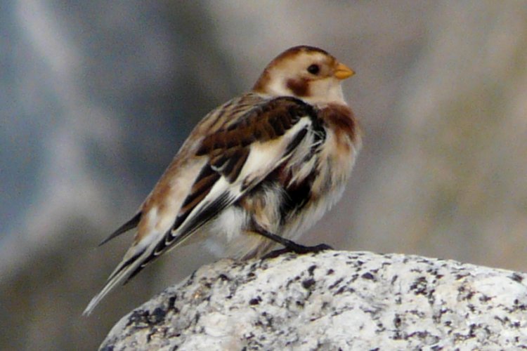 Port Lorne, NS - Nov. 10, 2015