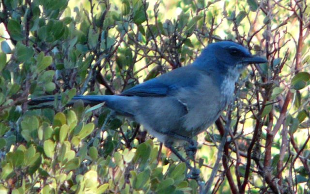 Oak Flats Campground, AZ - Dec. 28, 2011