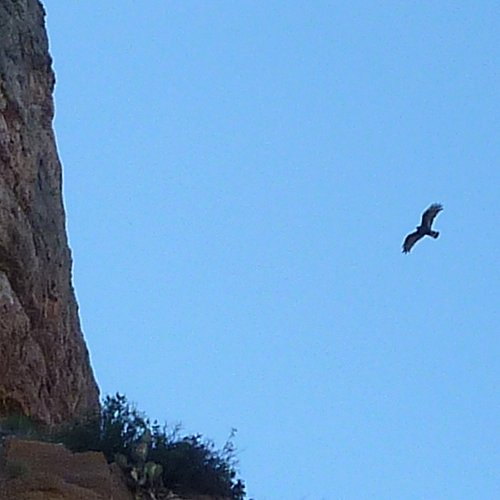 Salt River Canyon, AZ - May 22, 2010