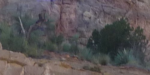 Salt River Canyon, AZ - May 22, 2010
