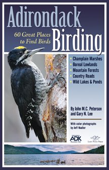 Adirondack Birding: 60 Great Places to Find Birds