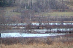 Marsh near L'Île-du-Grand-Calumet