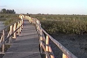 Cooper Marsh Boardwalk