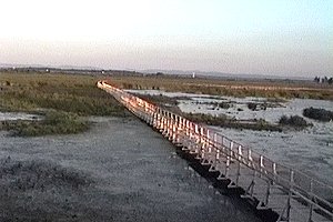 Cooper Marsh Boardwalk