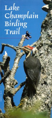 Explore the Lake Champlain Birding Trail