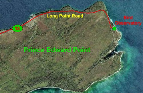 Google Satellite View of Prince Edward Point