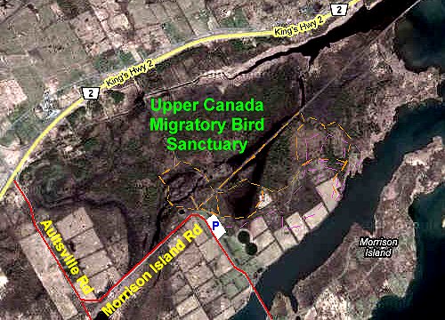 Google Maps Satellite Image of Upper Canada Migratory Bird Sanctuary Area