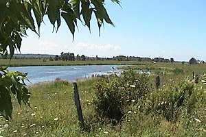 View of Pond off Chemin Wilfred-Lépine