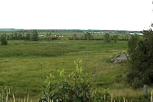 View of the Marais aux Massettes