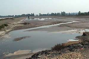 View of the Thurso Settling Pond