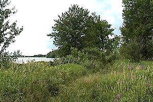 View of the Thruso Marsh Trail