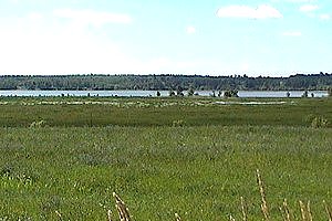 View of the Thruso Marsh from the Overlook