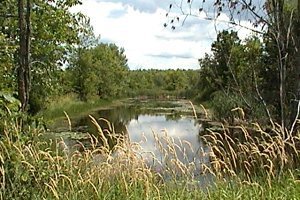 View of Channel at Marais aux Grenouillettes