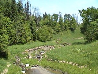 Creek on North Side of Chemin Baillie Gully